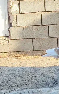 پشت گراف