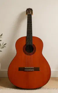 گیتار YaMaHa C40