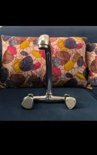 شیر دوقلو