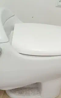 توالت فرنگی