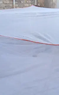 پشه بند