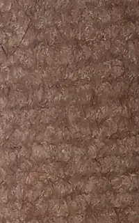 موکت تمیز