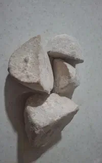 کشک گوسفندی
