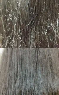 موخوره گیری به روش روسی جشنواره عید تا عید
