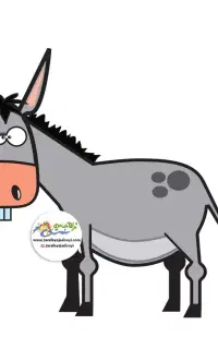 فروش الاغ نر گله ای