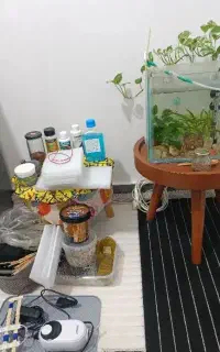 پمپ و فیلتر و بخاری و گیاه و غذا و نور و دماسنج