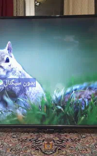 ال ای. دی 43اینچ اسمارت اسنوا