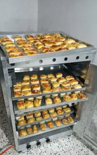 تنور گازی ده سینی یخچالی