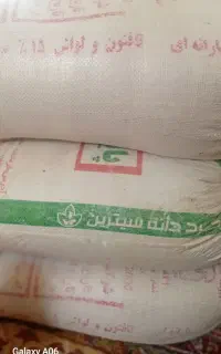 عدس تازه‌ محلی