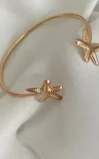 استخدام ادمین اکسسوری