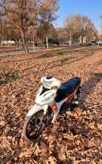 موتور