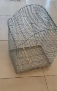 قفس عروس هلندی