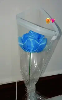 کار بسته بندی