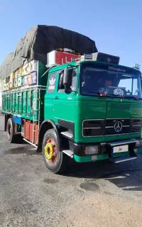 بنز تک بی دماغ عروسک