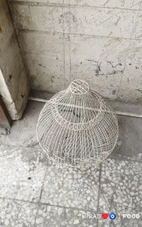 قفص پرنده