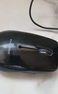 موس ، فن کیس