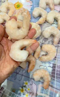 میگوبوشهر  صادراتی درجه یک