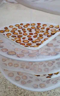 تور خشک کن مخصوص میوه