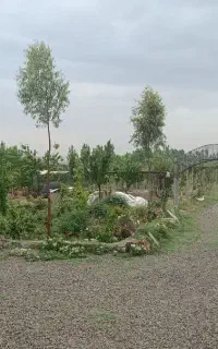 کارگر باغ نگهبان