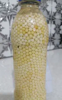 خاویارحلزون