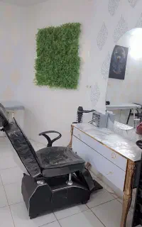 اجاره صندلی  درتمام لاینها