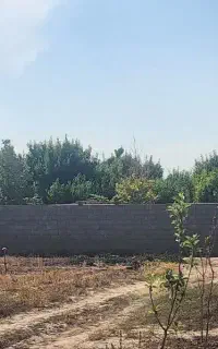 زمین دور دیوار سند دار ماریان امتیاز برق و آب شکار