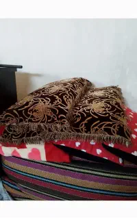 6عددبالش پرنونو