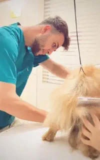 دامپزشکی گرومینگ آرایشگاه حیوانات خانگی سگ و گربه