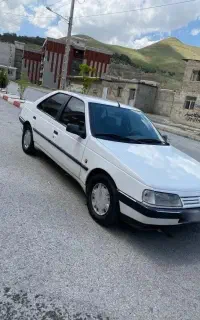 ماشین پژو ۴۰۵ tu5