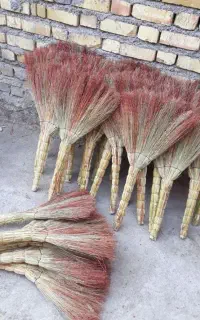 جارودستی‌وقرمز