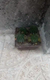 نیازمالی