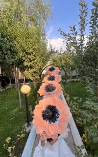 گروه هنری فیدان دنس و آموزش رقص