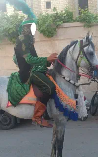 اسب نریان
