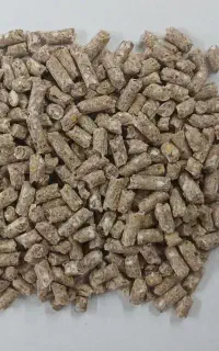 فروش ویژه کنسانتره دامی