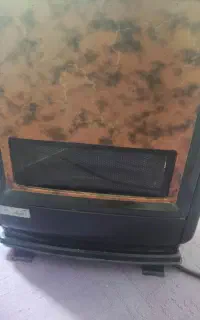 بخاری سالم