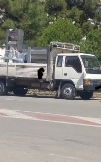 آمیکو ۶تن ۱۳۸۴
