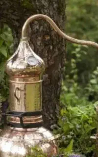 عرقیات گیاهی خانگی