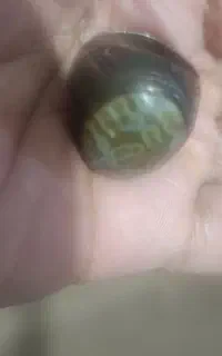 انگشتر لامه
