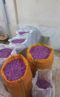 پر گل محمدی ارگانیک به شرط آزمایش درجه یک