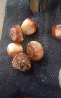 سنگ آنتیک زینتی