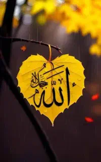 آینه بینی ، و آینده گویی