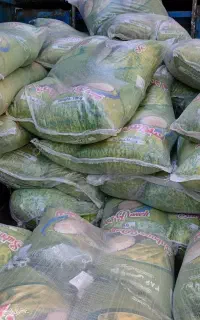 برنج پاکستانی ۳۸۶ عمده ،چای و روغن