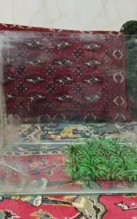 آکواریوم فقط 1ملیون باپمپ آب