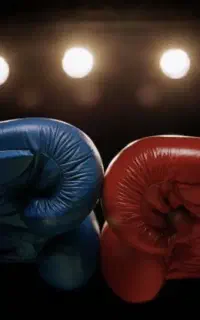 حریف تمرینی کیک بوکس