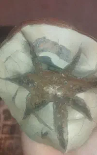 سنگ خاص