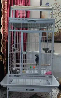 قفس بزرگ طوطی سانان