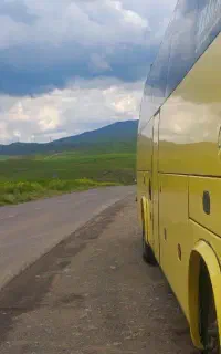 راننده برای مشهد