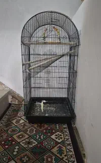 قفس بزرگ