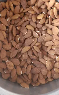 بادام هندی و بادام درختی و تخمه
