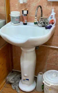 سرشور ایستاده
